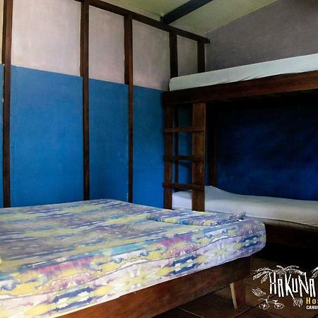 Hakuna Matata Hostel Cahuita Eksteriør billede