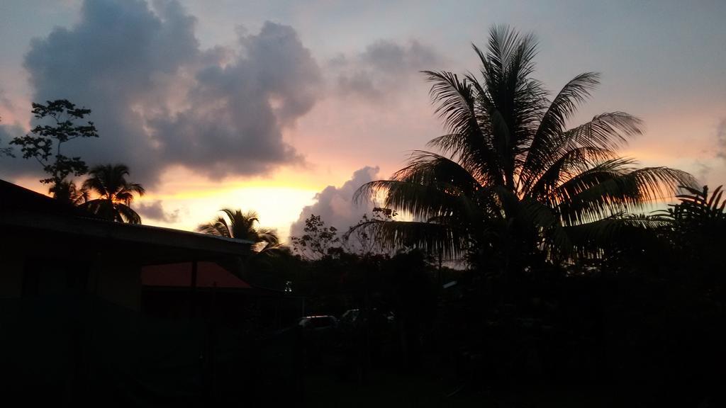 Hakuna Matata Hostel Cahuita Eksteriør billede