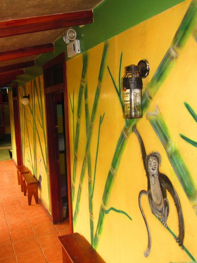 Hakuna Matata Hostel Cahuita Eksteriør billede