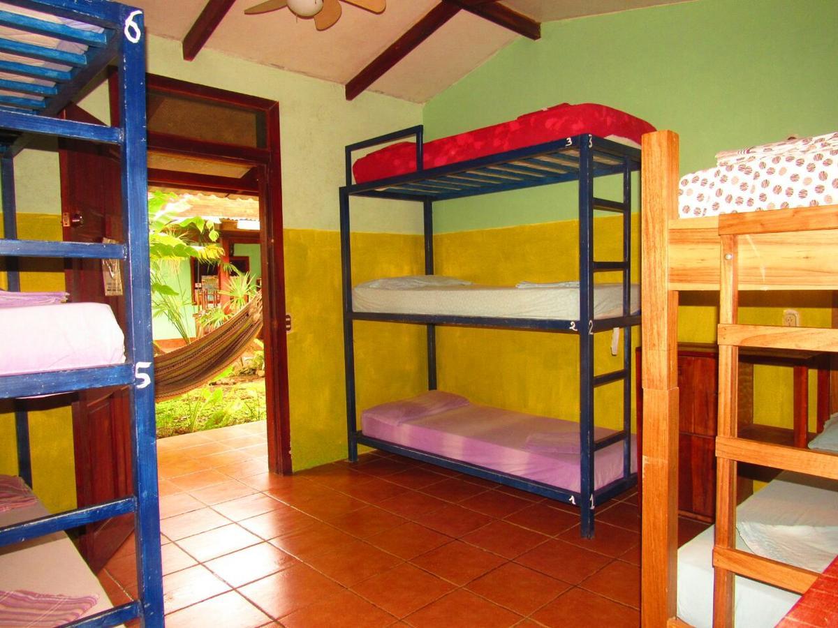 Hakuna Matata Hostel Cahuita Eksteriør billede