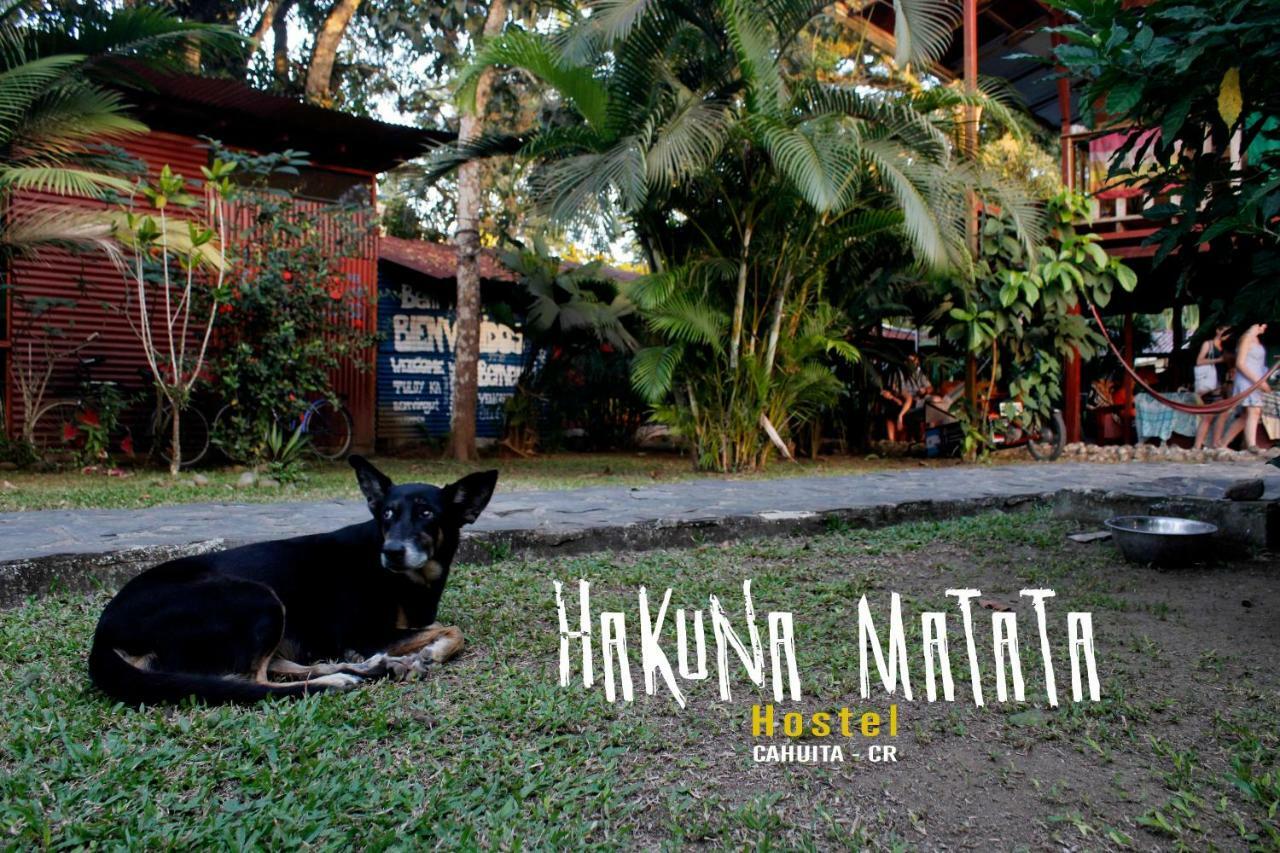 Hakuna Matata Hostel Cahuita Eksteriør billede