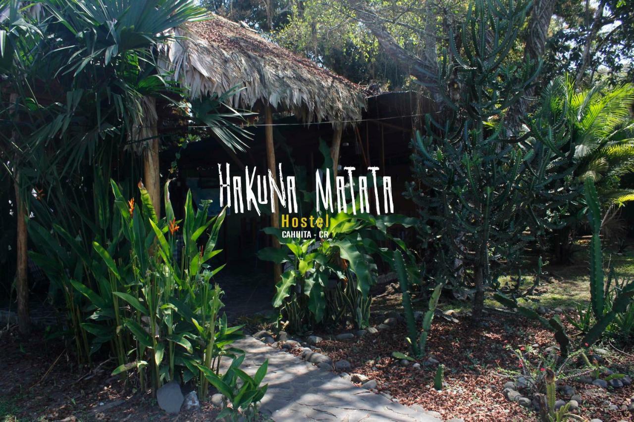 Hakuna Matata Hostel Cahuita Eksteriør billede