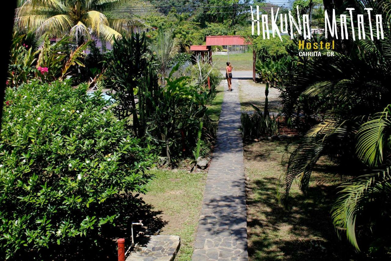 Hakuna Matata Hostel Cahuita Eksteriør billede